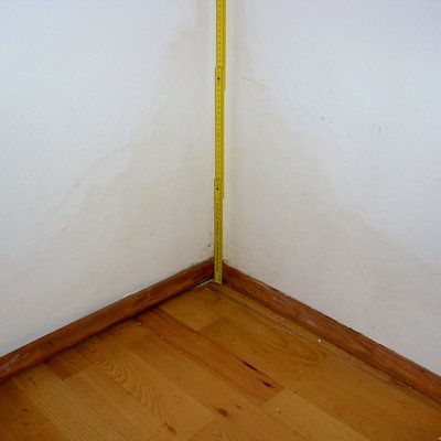 Schimmel 