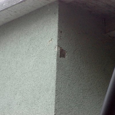 Spechtlöcher
