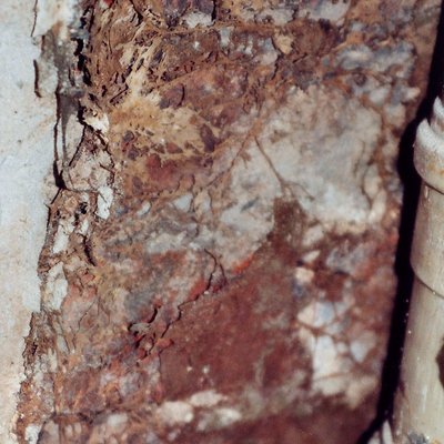 Holzschädlinge Holzschädlinge