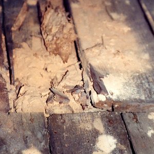 Holzschaedigung-durch-Hausbock Dielen-im-Dachboden Holzschädigung durch Hausbock - Dielen im Dachboden