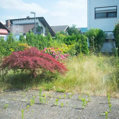Altbausanierung